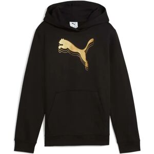 Girl hoodie Puma Essentials METALLIC FL G Noir 10 jaar Girl hoodie Puma Essentials METALLIC FL G Noir 10 jaar