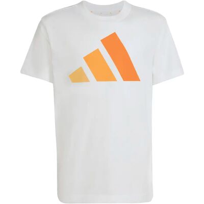 T-shirt katoen kind adidas Essentials Blanc 13/14 ans T-shirt katoen kind adidas Essentials Blanc 13/14 ans