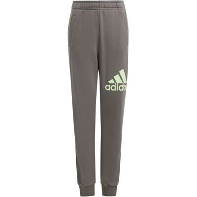Kinderen joggingbroek met groot logo adidas Essentials Gris 11/12 ans Kinderen joggingbroek met groot logo adidas Essentials Gris 11/12 ans