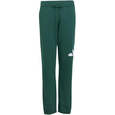 Kinderen joggingbroek adidas Essentials Brand Love Vert 9/10 ans Kinderen joggingbroek adidas Essentials Brand Love Vert 9/10 ans