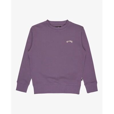 Junior Sweatshirt Billabong Arch CR Y Violet 12 ans Junior Sweatshirt Billabong Arch CR Y Violet 12 ans