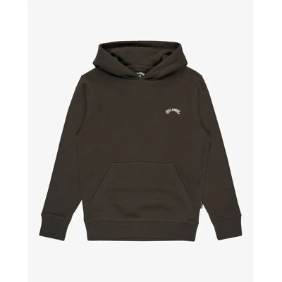 Junior Hoodie Billabong Arch Po Marron 12 ans Junior Hoodie Billabong Arch Po Marron 12 ans