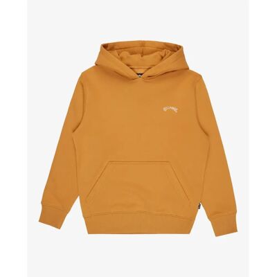 Junior Hoodie Billabong Arch Po Orange 8 ans Junior Hoodie Billabong Arch Po Orange 8 ans