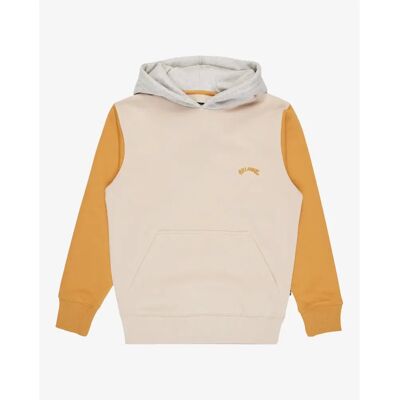 Junior Hoodie Billabong Arch Block PO Y Jaune 12 ans Junior Hoodie Billabong Arch Block PO Y Jaune 12 ans