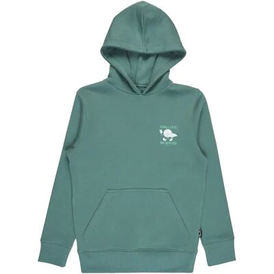 Junior Hoodie Billabong Foundation Po Vert 16 ans Junior Hoodie Billabong Foundation Po Vert 16 ans