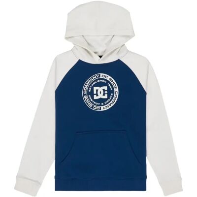Junior Hoodie DC Shoes Corpo Bleu 10 ans Junior Hoodie DC Shoes Corpo Bleu 10 ans