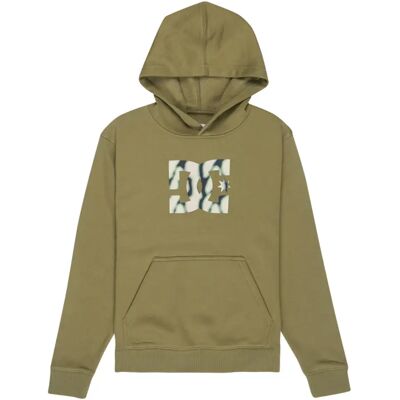 Junior Hoodie DC Shoes Star Filled Vert 14 ans Junior Hoodie DC Shoes Star Filled Vert 14 ans