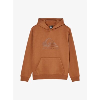 Junior Hoodie Quiksilver Comp Logo Marron 16 ans Junior Hoodie Quiksilver Comp Logo Marron 16 ans