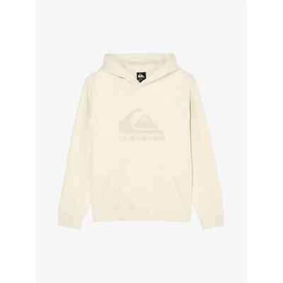 Junior Hoodie Quiksilver Comp Logo Beige 14 ans Junior Hoodie Quiksilver Comp Logo Beige 14 ans