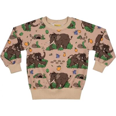 Junior Sweatshirt Raspberry Republic Wooly Mammoth Marron 2/3 ans Junior Sweatshirt Raspberry Republic Wooly Mammoth Marron 2/3 ans
