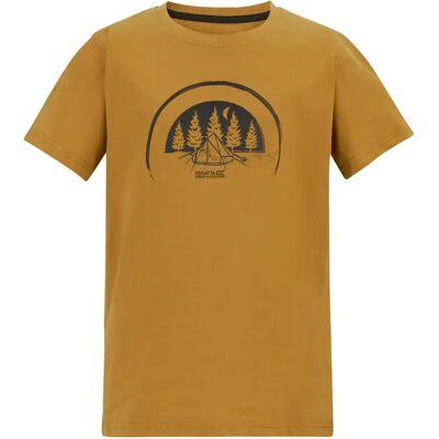 Katoenen kinder-T-shirt Regatta Bosley Marron 14 ans Katoenen kinder-T-shirt Regatta Bosley Marron 14 ans