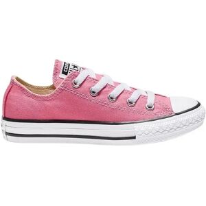 Kindertrainers Converse Chuck Taylor All Star Rose 33 Kindertrainers Converse Chuck Taylor All Star Rose 33