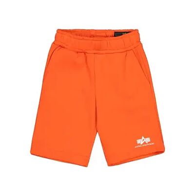 Kinderbroeken Alpha Industries Basic Small Logo Orange 11/12 ans Kinderbroeken Alpha Industries Basic Small Logo Orange 11/12 ans