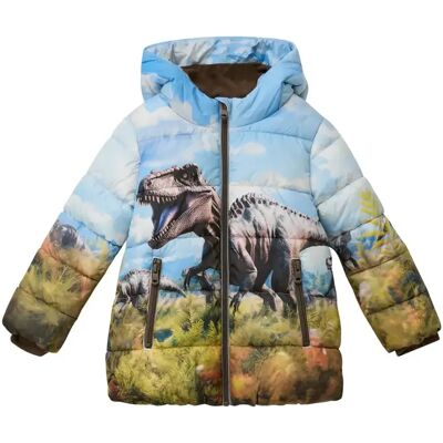Gevoerde buitenjas met capuchon en artworkprint voor babyjongens s.Oliver Bleu 3 jaar Gevoerde buitenjas met capuchon en artworkprint voor babyjongens s.Oliver Bleu 3 jaar