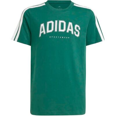 Kinder-T-shirt adidas Codes Collegiate Graphic Vert 9/10 ans Kinder-T-shirt adidas Codes Collegiate Graphic Vert 9/10 ans