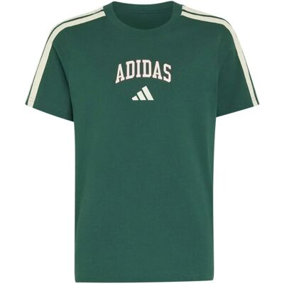 T-shirt kind adidas Collegiate Graphic Vert 15/16 ans T-shirt kind adidas Collegiate Graphic Vert 15/16 ans