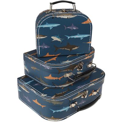 Kinderzaken Rex London Sharks (x3) Blauw TU Kinderzaken Rex London Sharks (x3) Blauw TU