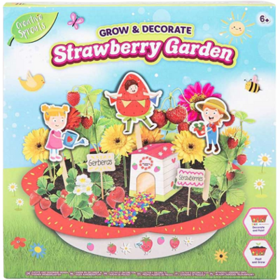Creative Sprouts Grow & Decorate Strawberry Garden Kit Creative Sprouts Grow & Decorate Strawberry Garden Kit
