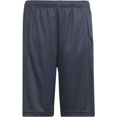 Normale korte broeken voor kinderen adidas Train Essentials Aeroready Logo Grijs 13/14 jaar oud Unisex Normale korte broeken voor kinderen adidas Train Essentials Aeroready Logo Grijs 13/14 jaar oud Unisex