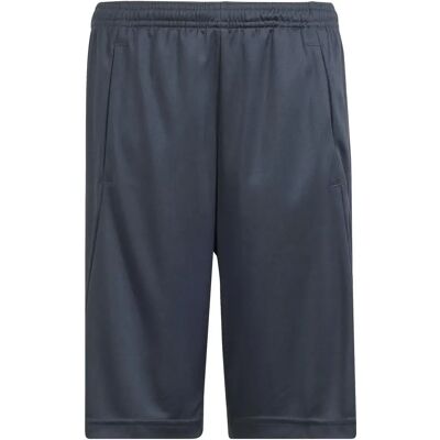 Normale korte broeken voor kinderen adidas Train Essentials Aeroready Logo Gris 7/8 ans Unisex Normale korte broeken voor kinderen adidas Train Essentials Aeroready Logo Gris 7/8 ans Unisex