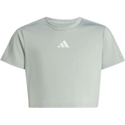 Meisjestrui adidas Essentials Seasonal Vert 11/12 ans Female Meisjestrui adidas Essentials Seasonal Vert 11/12 ans Female