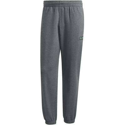 Adidas Mercedes AMG joggingsbroek Petronas Formula One Team Premium Gris S Male Adidas Mercedes AMG joggingsbroek Petronas Formula One Team Premium Gris S Male