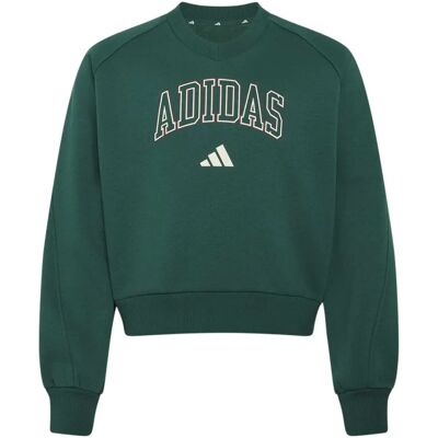 V-hals Sweatshirt Meisje adidas Seasonals Collegiate Typography Vert 7/8 ans Female V-hals Sweatshirt Meisje adidas Seasonals Collegiate Typography Vert 7/8 ans Female