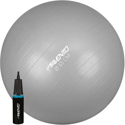 Avento Gymbal 65cm - Zilver Avento Gymbal 65cm - Zilver