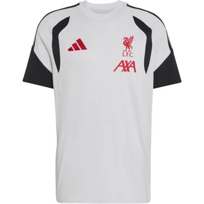 Adidas T-shirt Liverpool FC Gris XL Tall 3 Male Adidas T-shirt Liverpool FC Gris XL Tall 3 Male