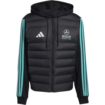 Adidas Mercedes AMG jack Petronas Formula One Team DNA Noir M Male Adidas Mercedes AMG jack Petronas Formula One Team DNA Noir M Male