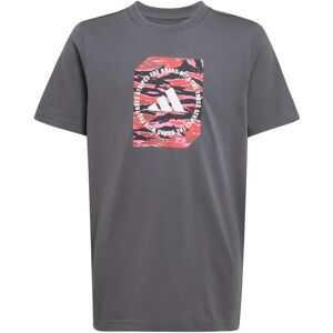 Kinder-T-shirt adidas Gris 9/10 ans Male Kinder-T-shirt adidas Gris 9/10 ans Male