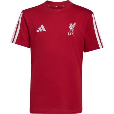 Adidas Liverpool FC T-shirt voor kinderen Rouge 11/12 ans Unisex Adidas Liverpool FC T-shirt voor kinderen Rouge 11/12 ans Unisex