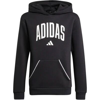 Junior Hoodie adidas Essentials Collegiate Typography Noir 9/10 ans Unisex Junior Hoodie adidas Essentials Collegiate Typography Noir 9/10 ans Unisex