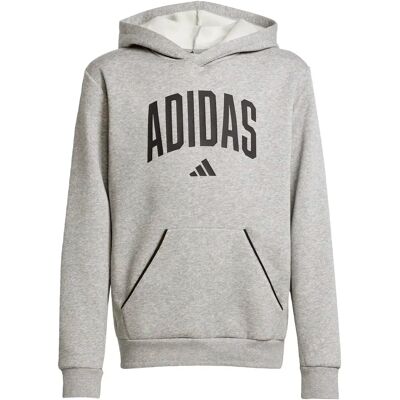 Junior Hoodie adidas Essentials Collegiate Typography Gris 9/10 ans Unisex Junior Hoodie adidas Essentials Collegiate Typography Gris 9/10 ans Unisex