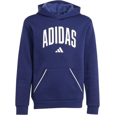 Junior Hoodie adidas Seasonals Essentials Collegiate Bleu 9/10 ans Unisex Junior Hoodie adidas Seasonals Essentials Collegiate Bleu 9/10 ans Unisex