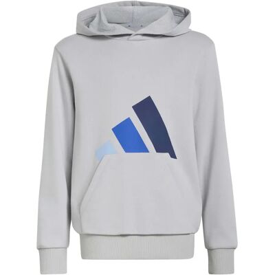 Klassieke kinder hoodie adidas Essentials Gris 7/8 ans Unisex Klassieke kinder hoodie adidas Essentials Gris 7/8 ans Unisex