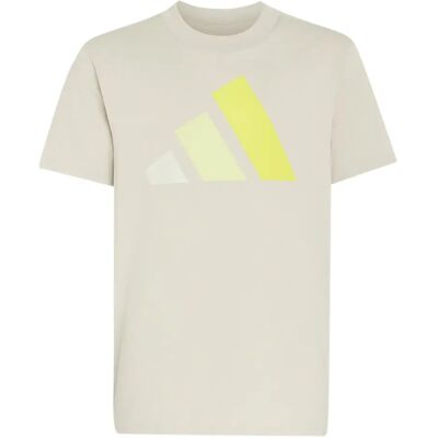 T-shirt kind adidas Essentials Gris 13/14 ans Unisex T-shirt kind adidas Essentials Gris 13/14 ans Unisex