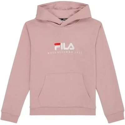 Junior Hoodie Fila Carisio Regular Logo Rose 13/14 ans Unisex Junior Hoodie Fila Carisio Regular Logo Rose 13/14 ans Unisex