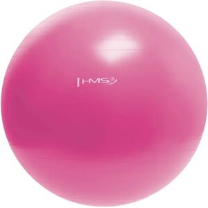 HMS YB01 55cm Fitnessbal - Roze - Fitnessbal HMS YB01 55cm Fitnessbal - Roze - Fitnessbal