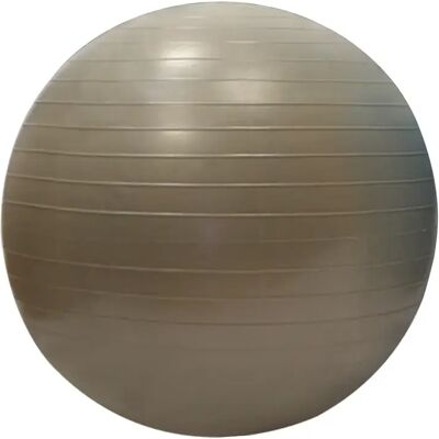 Sporti France Gymball 55cm - Gymbal Sporti France Gymball 55cm - Gymbal