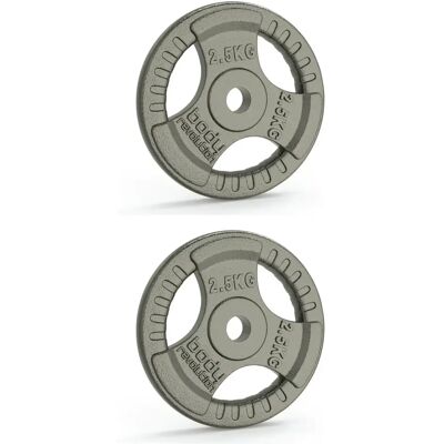 Gietijzeren discus Body Revolution 2,5kg (x2) Gris 2,5 kg Unisex Gietijzeren discus Body Revolution 2,5kg (x2) Gris 2,5 kg Unisex