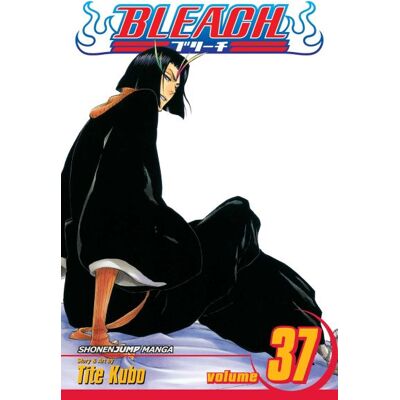 Viz Media Bleach Paperback Manga-Vol. 37 (Diversen) Nieuw Viz Media Bleach Paperback Manga-Vol. 37 (Diversen) Nieuw