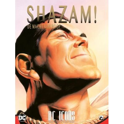 DC Comics DC Icons Shazam! Kracht van Hoop Stripboek-Standaard (Diversen) Nieuw DC Comics DC Icons Shazam! Kracht van Hoop Stripboek-Standaard (Diversen) Nieuw