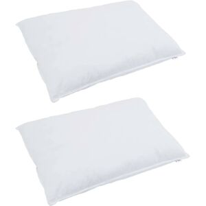 vidaXL Hoofdkussen met kussen 2 pcs Wit 50 x 70 cm Veren vidaXL Hoofdkussen met kussen 2 pcs Wit 50 x 70 cm Veren