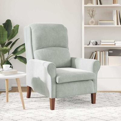 vidaXL Fauteuil Lichtgrijs Fluweel vidaXL Fauteuil Lichtgrijs Fluweel