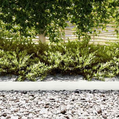 vidaXL Witte kunststof 100 x 0.5 x 15 cm tuinrandhek vidaXL Witte kunststof 100 x 0.5 x 15 cm tuinrandhek