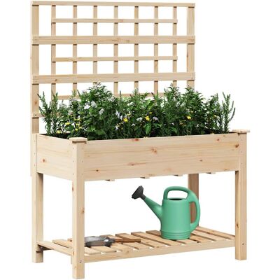 Vidaxl Tuinplantenrek met Trellis en Plank - Tuinplantenrek met Trellis en Plank Vidaxl Tuinplantenrek met Trellis en Plank - Tuinplantenrek met Trellis en Plank