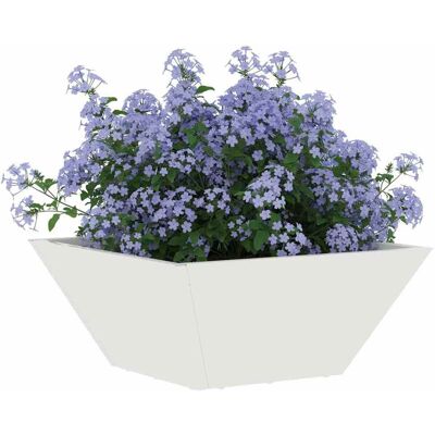 vidaXL Plantenbak 5 st Wit 35 x 35 x 15 cm Koudgewalst staal vidaXL Plantenbak 5 st Wit 35 x 35 x 15 cm Koudgewalst staal
