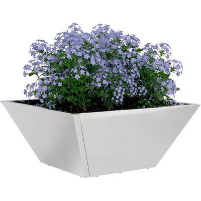 vidaXL Plantenbak 5 st Zilver 35 x 35 x 15 cm Roestvrij staal vidaXL Plantenbak 5 st Zilver 35 x 35 x 15 cm Roestvrij staal