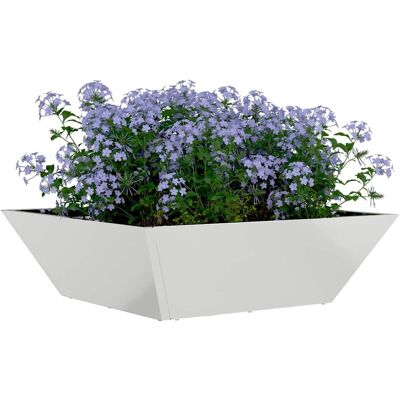 vidaXL Plantenbak Zilver 50 x 50 x 15 cm Gegalvaniseerd staal vidaXL Plantenbak Zilver 50 x 50 x 15 cm Gegalvaniseerd staal